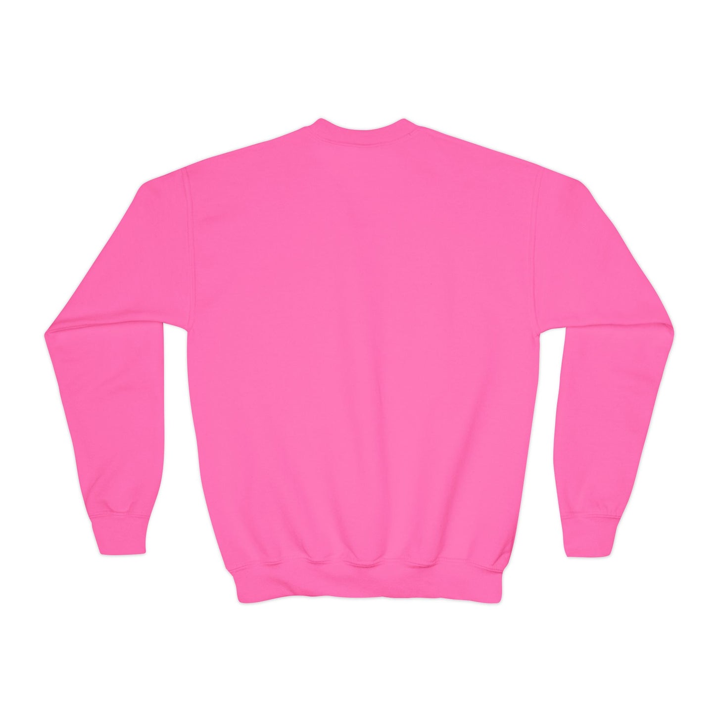 "Delivery Diver" - Youth Crewneck Sweatshirt